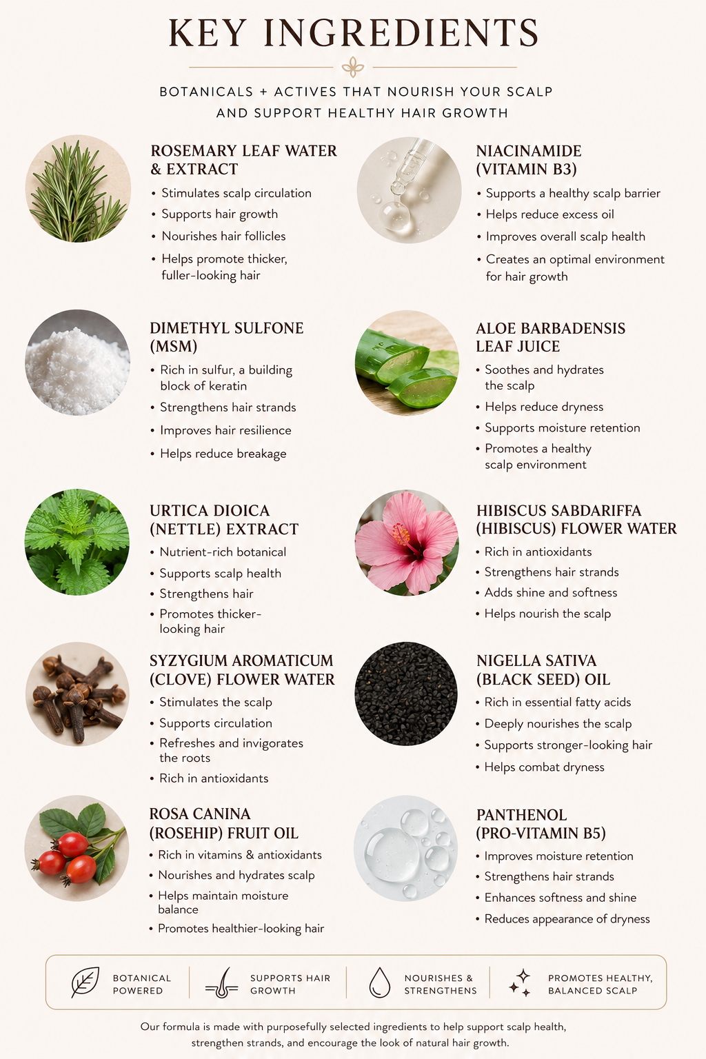 Crown Revival™ — Botanical Scalp Renewal Mist